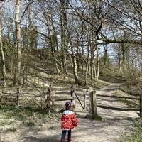 Pass through the wooden gate.