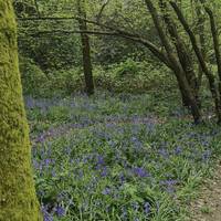 Follow the path and see if you can slow your pace a little so you can take it all in.