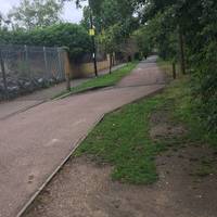 Head up Greendale past the entrance to Green Dale Fields on your right. Keep left - this is a shared footpath and cycle route