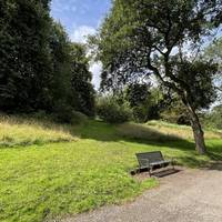 There are plenty of benches on the main tarmac path. We're going to head left onto the first mown grass path.