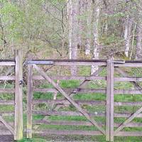 On the far side of the wooden bridge, pass through a gate and follow the path to your left, going uphill. Don't forget to close the gate!