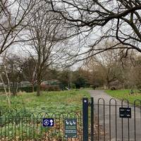 Sauna, seasonal flowers and sometimes ducklings