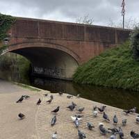 This is Piggery Bridge. The area was famous for bad smells which were partly due to the pigs kept locally. The path is a little narrow here.
