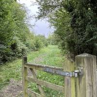 Enter Hawkfield Meadow through the wooden gate off William Jessop Way, close to junction of Whitchurch Lane.