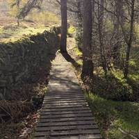 Bridge number three.