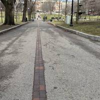 Turn left to walk up the hill through Boston Common. Did you know Boston Common is America's oldest public park, established in 1634?