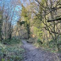 The path bends slightly to the left to continue alongside the brook.