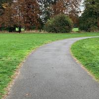 Follow the path until the top