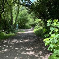 You’ll emerge onto Kingsdown Lane - a wider path.  Turn right.
