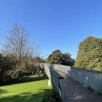 Head onto the STIHL Treetop Walkway.