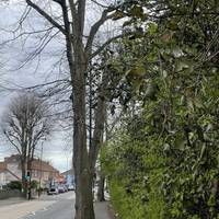 Head south on Kellaway Avenue toward the traffic lights.