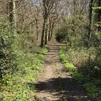 You should see the paths ahead meet at a crossroads.