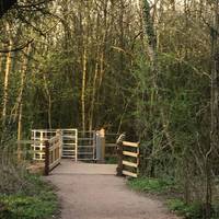 Woodland Trust have been busy installing an all weather path and new gates. Follow the path for a circular walk