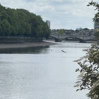 Towards Putney Bridge