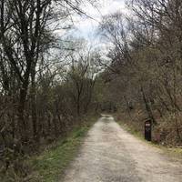 Follow the path right of the sign. In winter look out for “old man’s beard which turns the woodland grey-green and red holly berries. 