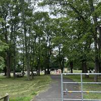 This walk starts at Paddy Freeman’s Park off Freeman Rd (NE2 2EY). There’s a car park onsite and a bus stop nearby (18, 37, 38, 352, 653).