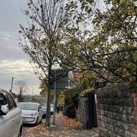 Head downhill to the junction with Filton Avenue.