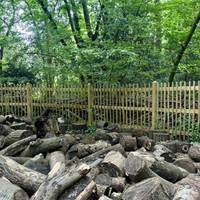 Similarly, these logs provide shelter for insects and small mammals. Greater species diversity improves resilience to climate change.