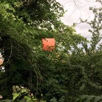 Exit Cherry Hinton park via the allotments. List the colours you can see. Are some  colours more visible: burnt orange trails or red signs.