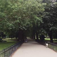 The park is dog and bike friendly, so remember to share the walkways with the other visitors of the park.