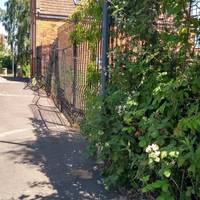 Turn immediately right, along a lane that runs alongside the park.