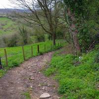 Walk along the road until you reach a junction with a road joining on the right. Turn left down the track.