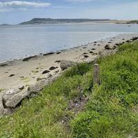 Continue along the path, enjoying views to the right of Portland Harbour, an engineering feat of the Victorians.