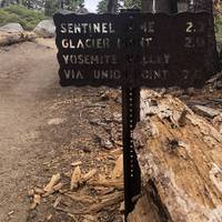 If you’ve just been to Taft Point head back to the crossroads and follow the route to Sentinel Dome