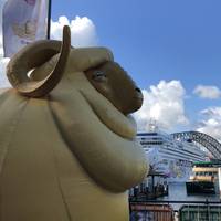 We were greeted by this ram and wondered why? It was the start of Chinese New Year so we explored the quay for more 🐏
