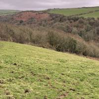 Cross the field diagonally to the left down the hill towards the woods.