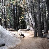 There are a few boulders along the way too