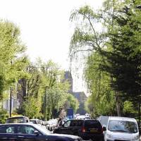 Look! Plenty of trees are bringing Caversham Road back to life. Mind the cars!