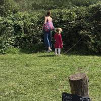 Start by the visitor centre and take the main rocky path straight ahead, ignoring the bridge to the left. Look out for the blackberries!