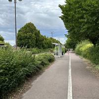 Turn right at the path junction onto the tarmac by Kesgrave Busway. Local buses stop here so you could start your walk here.