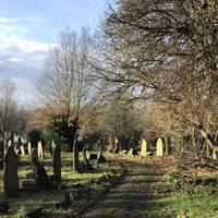 Follow the path around as it meanders past the head stones. This cemetery is around 37 acres and is popular with dog walkers.