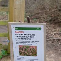 Take note when walking through long grass (especially on a warm morning). Adders 🐍 are found through the country park.