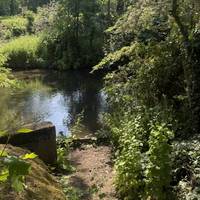 We get a first view of the river bank. Continue left along the path.