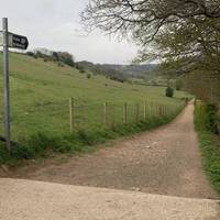 Continue on the bridleway.