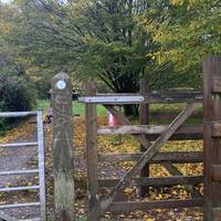 Start at the bottom of King George’s playing fields, at the end of Bosworth Road or Burnside Close