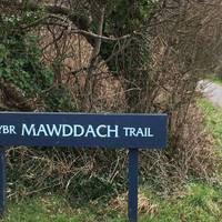 Go through the gate and you’ll be on the Mawddach Trail. Head towards the estuary & bridge.