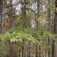 La verdure à portée de pieds ! On profite du bois pour une pause bien méritée ;)