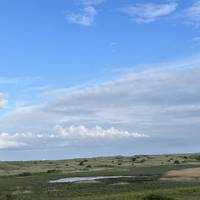 From the Warkworth Dunes Picnic Site, walk past the public loos and down the sloping sandy track towards the dunes.