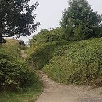 Keep along the fence past the cricket club and cottages to a path up onto an old landfill site.