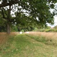 On the right is our wildflower meadow, with the community orchard beyond. Feel free to look round and have a seat, everyone is welcome!