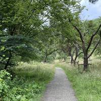 The path leads through the Apple orchard.