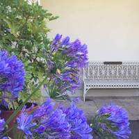 We walked around the right of the house. We love this shady corner with it's plants and benches. 