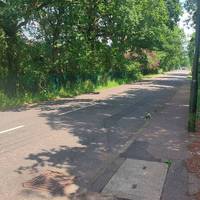 Turn right on Waggon Road and continue, walking past houses until you reach the last house on the left.