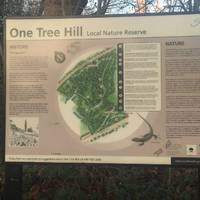One Tree Hill is also a local nature reserve. Read more at this spot before the big climb.
