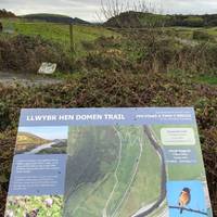 Park if needed and start by the sign for the Llwybr Hen Domen Trail - a simple 900 meter wander, with plenty of places to pause.