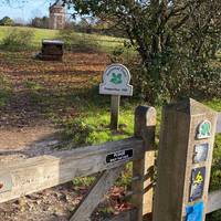Start at the Pepperbox Hill National Trust car park and then head through here